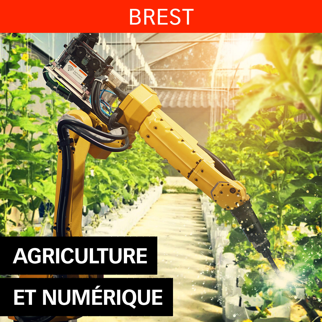 Agriculture et numérique