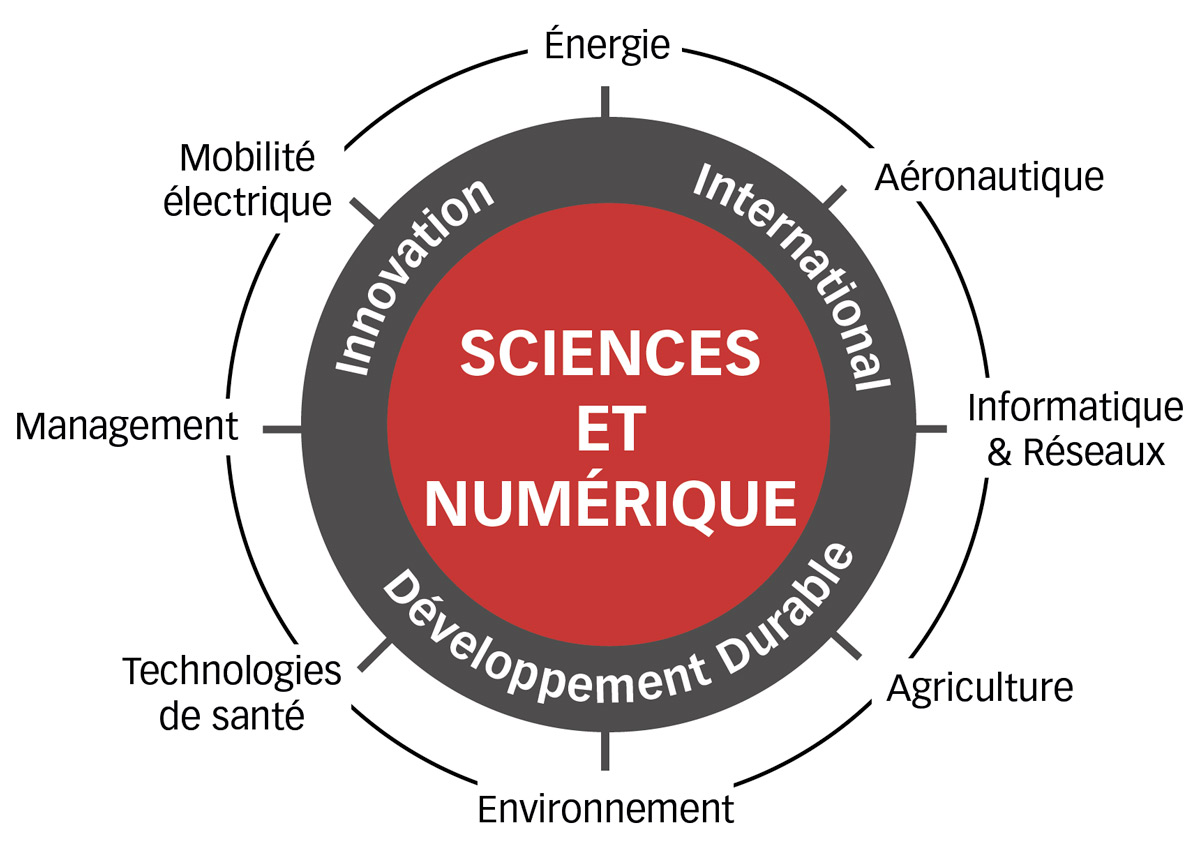 sciences-numerique